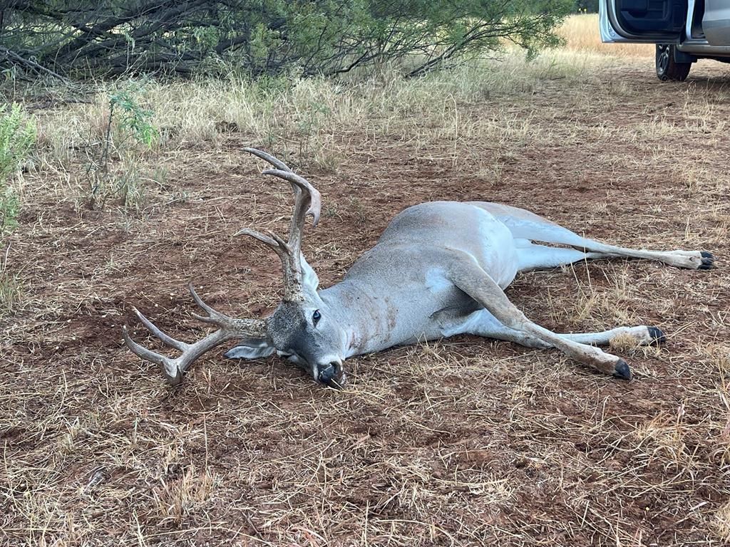 Roby, Fisher County, TX Farms and Ranches, Recreational Property