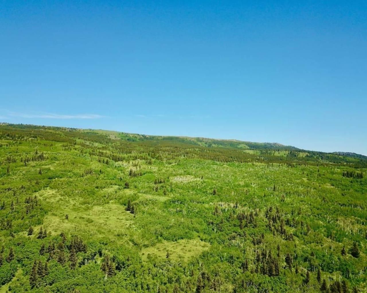 403 acres in Babb, MT, 59411 LandWatch