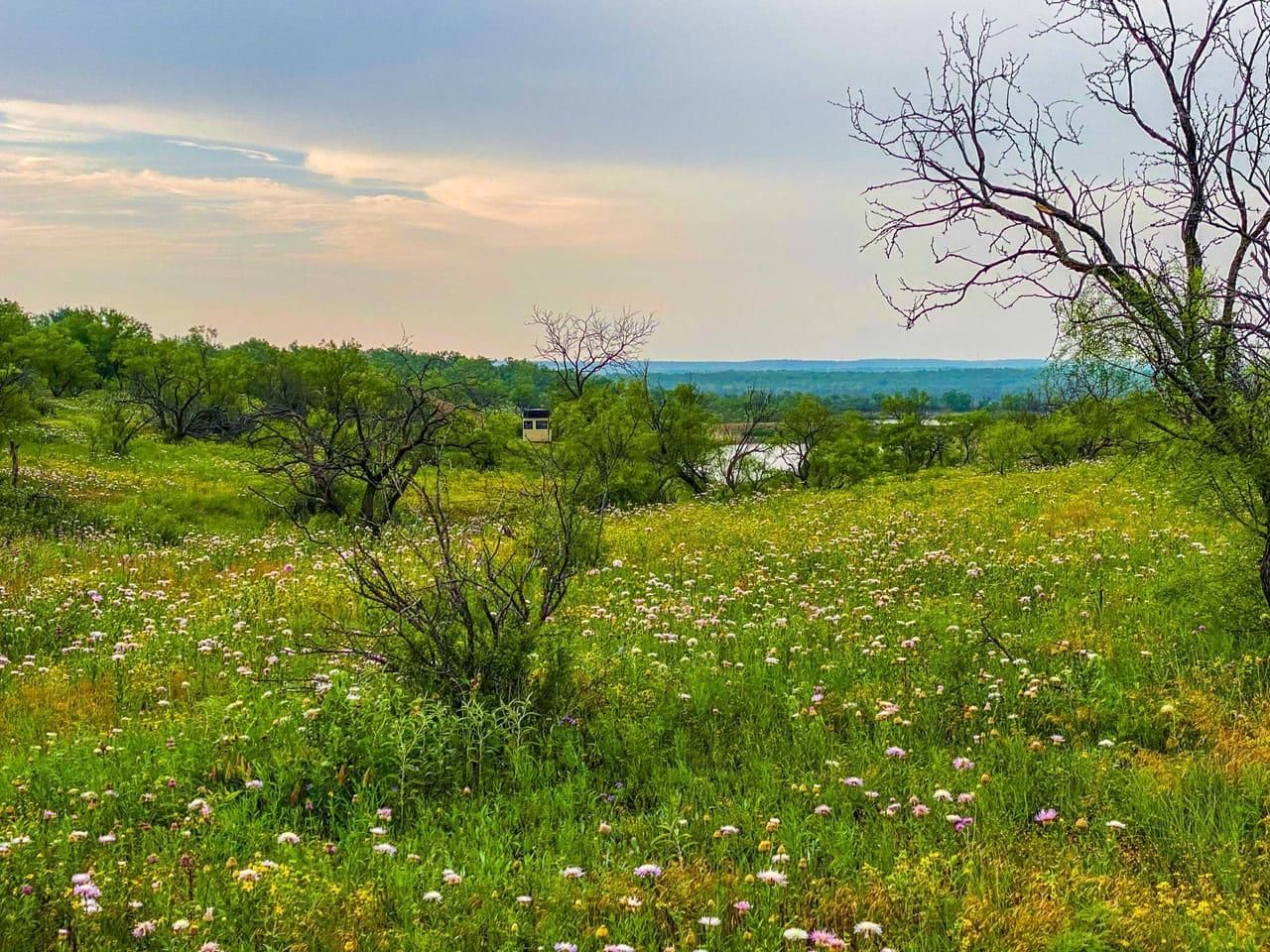 TBD Cr 288, Throckmorton, TX 76483 LandWatch