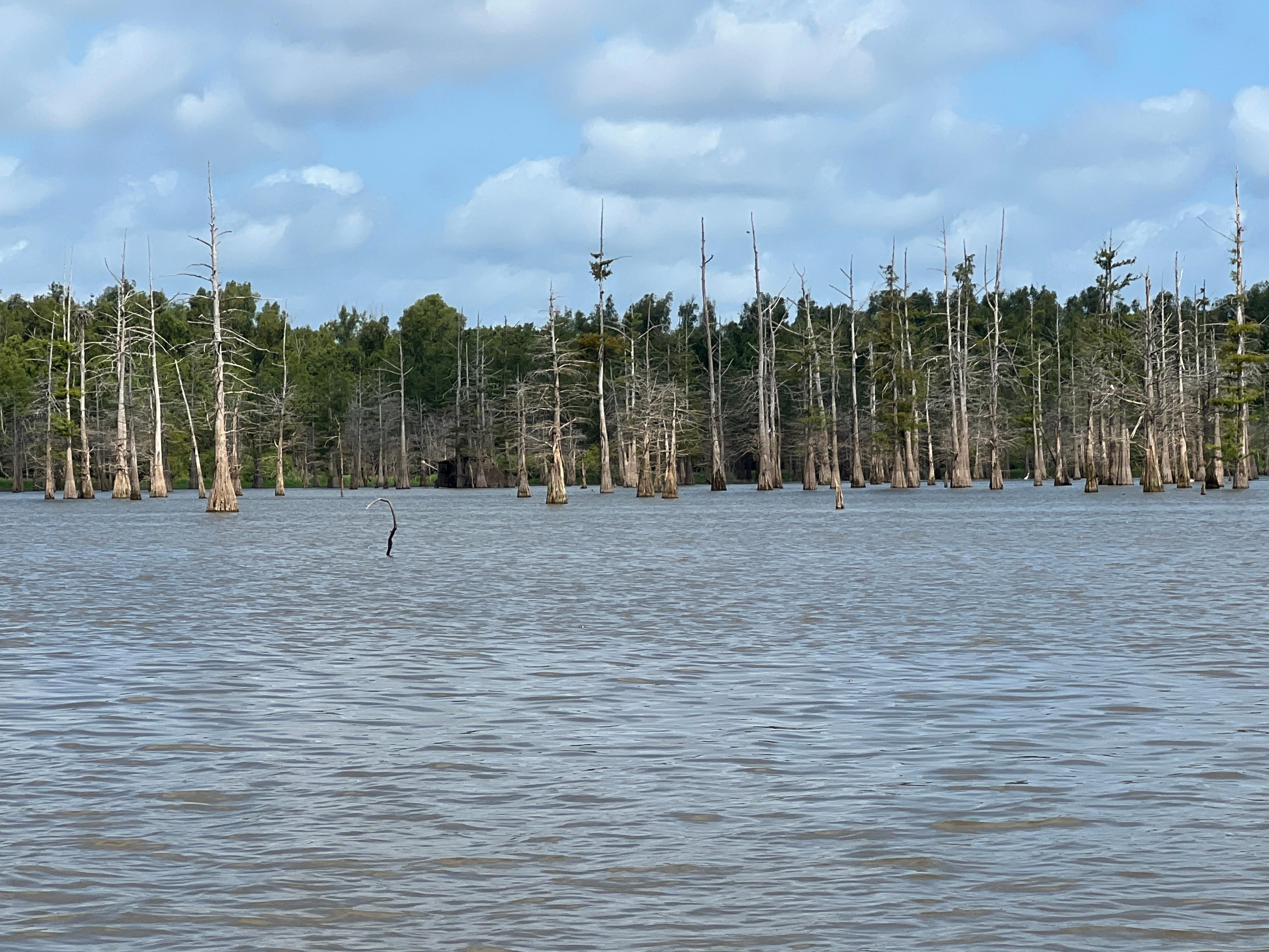 135 acres in Fort Adams, MS, 39669 LandWatch