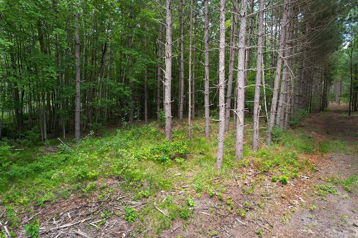 New Lisbon, Juneau County, WI Recreational Property, Hunting Property