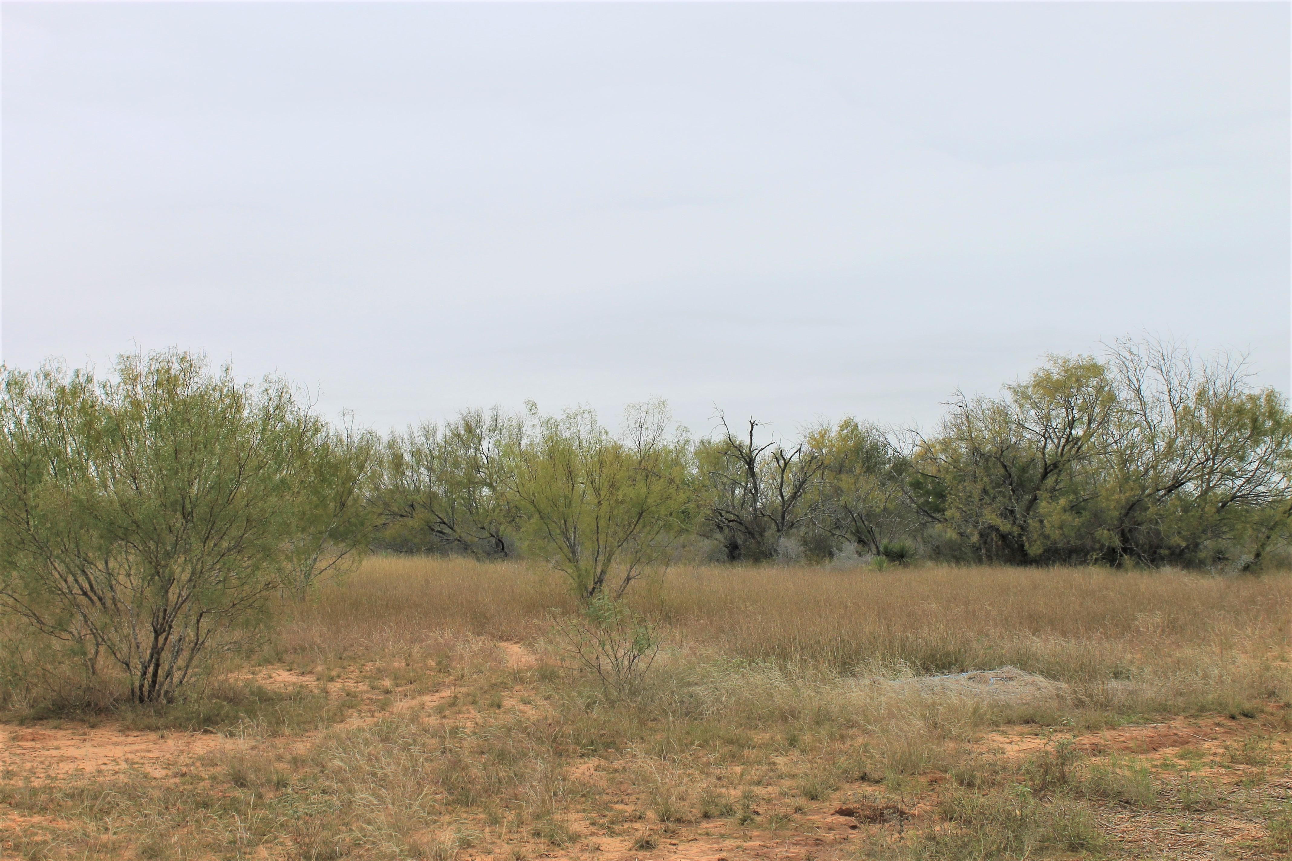 Devine, Medina County, TX Farms and Ranches, Recreational Property for