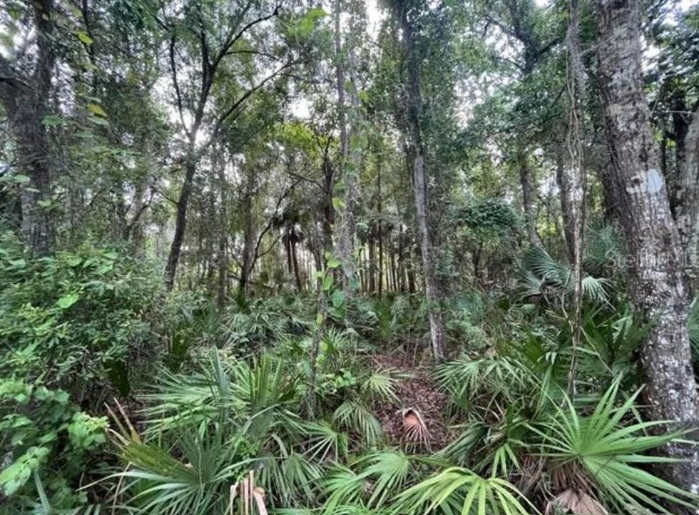 Putnam County, FL Recreational Property, Undeveloped Land
