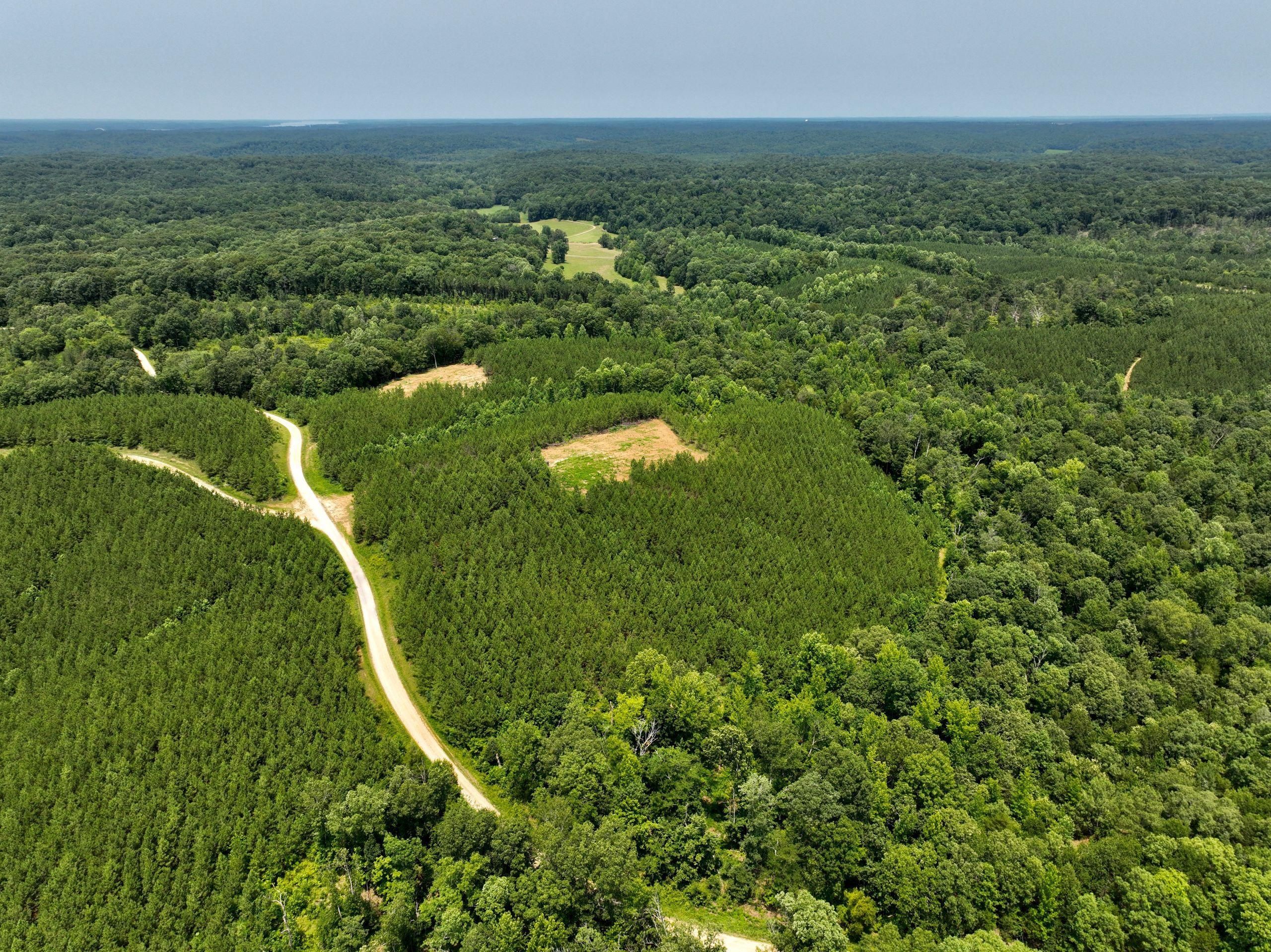 Cadiz, Trigg County, KY Recreational Property, Hunting Property for