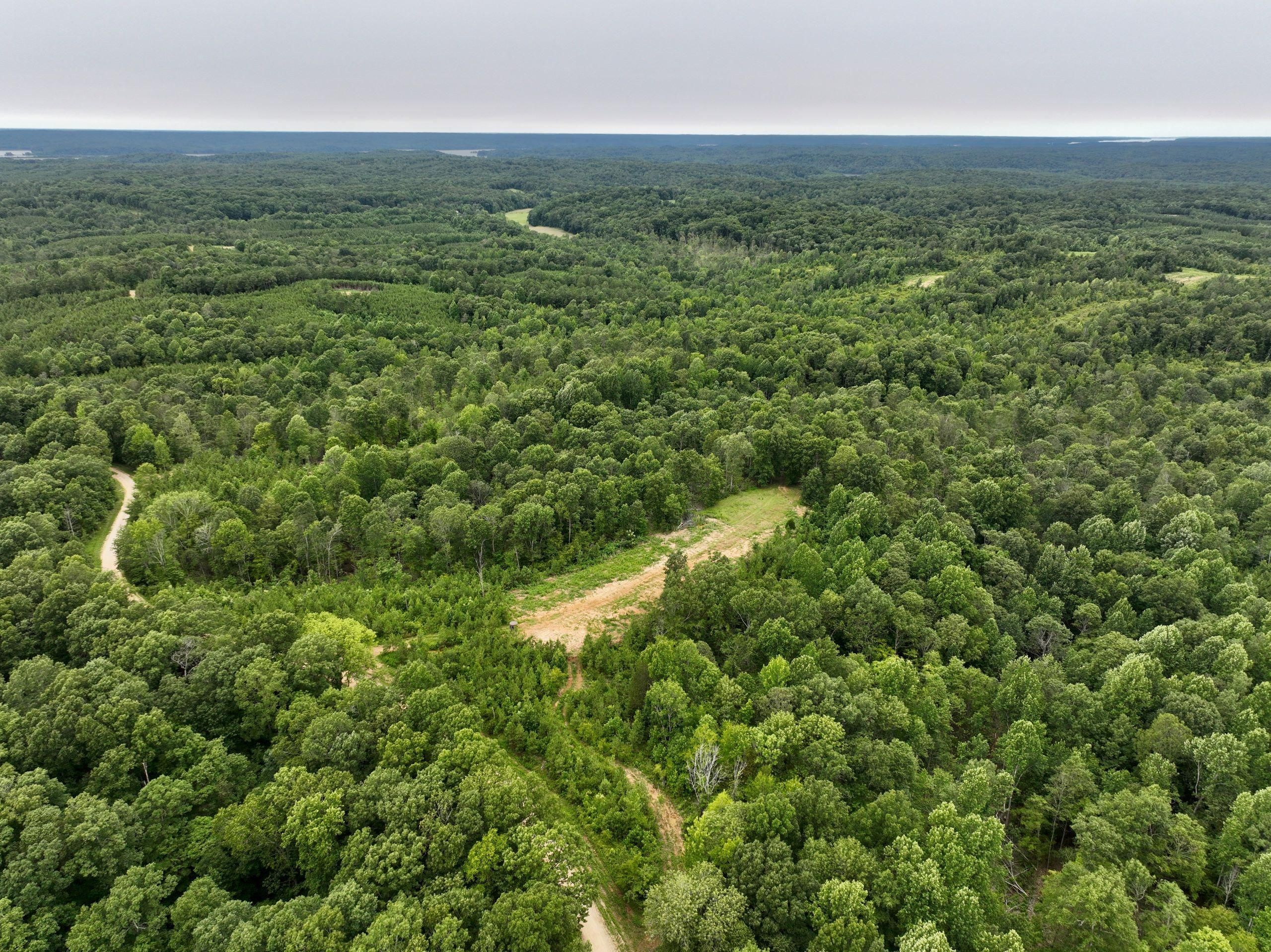 Cadiz, Trigg County, KY Recreational Property, Hunting Property for