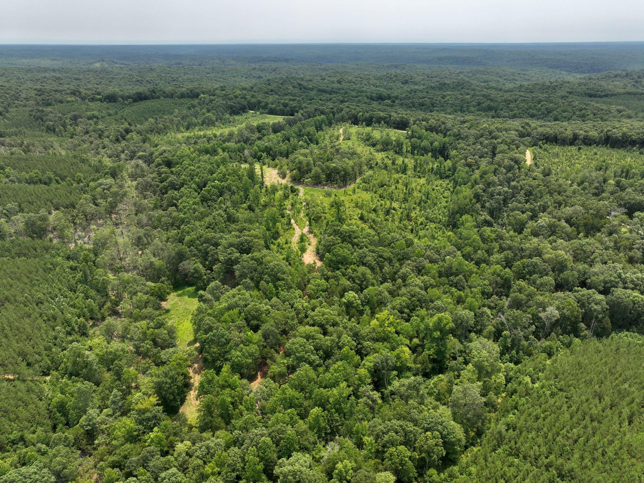 Cadiz, Trigg County, KY Recreational Property, Hunting Property for