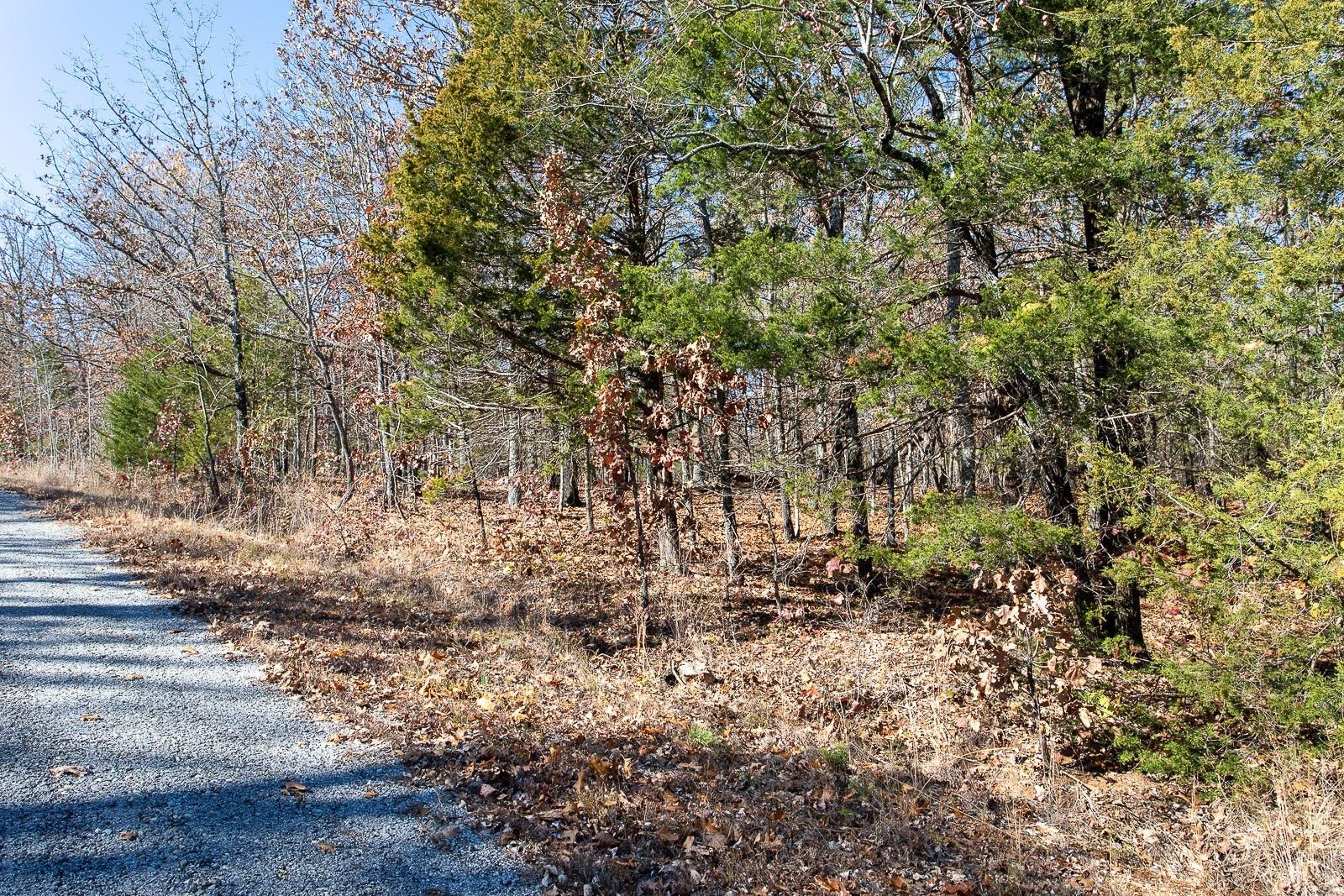 Horseshoe Bend, Izard County, AR Timberland Property, Undeveloped Land