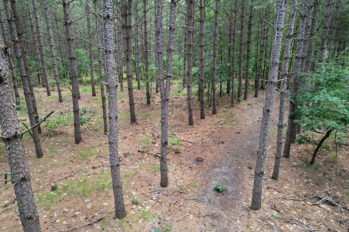New Lisbon, Juneau County, WI Recreational Property, Hunting Property for sale Property ID