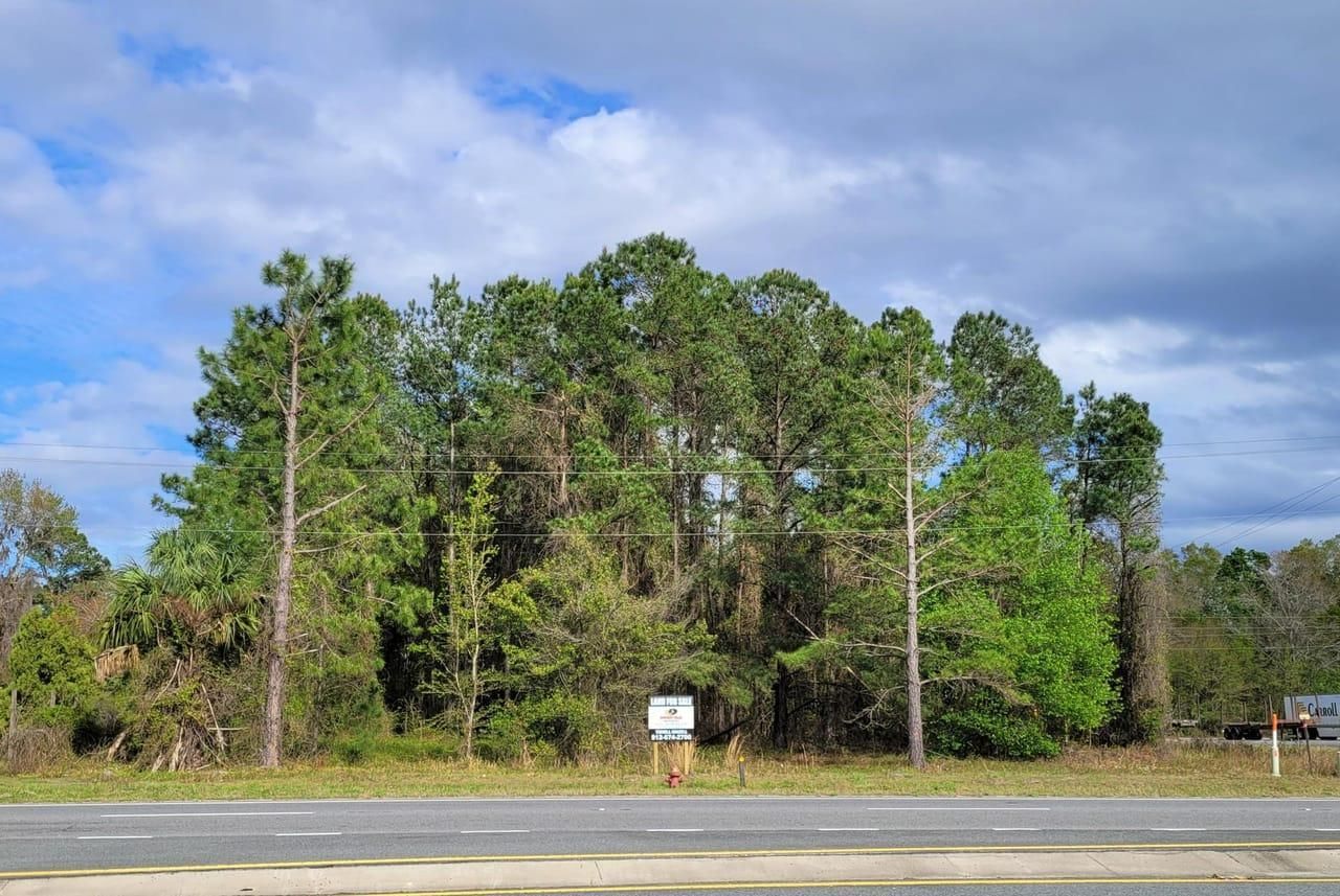 Folkston, Charlton County, GA Commercial Property for sale Property ID