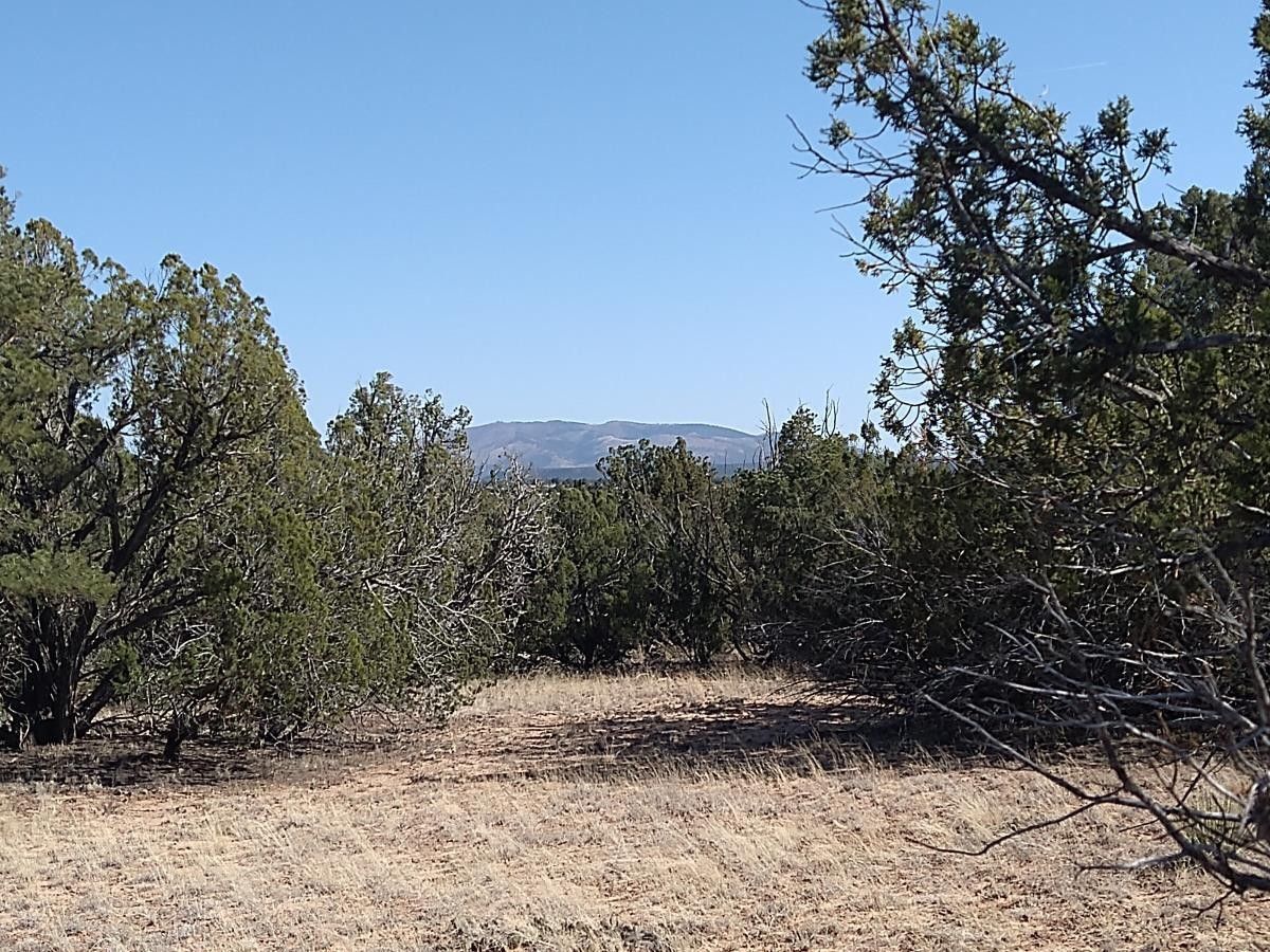 Willard, Torrance County, NM Undeveloped Land for sale Property ID