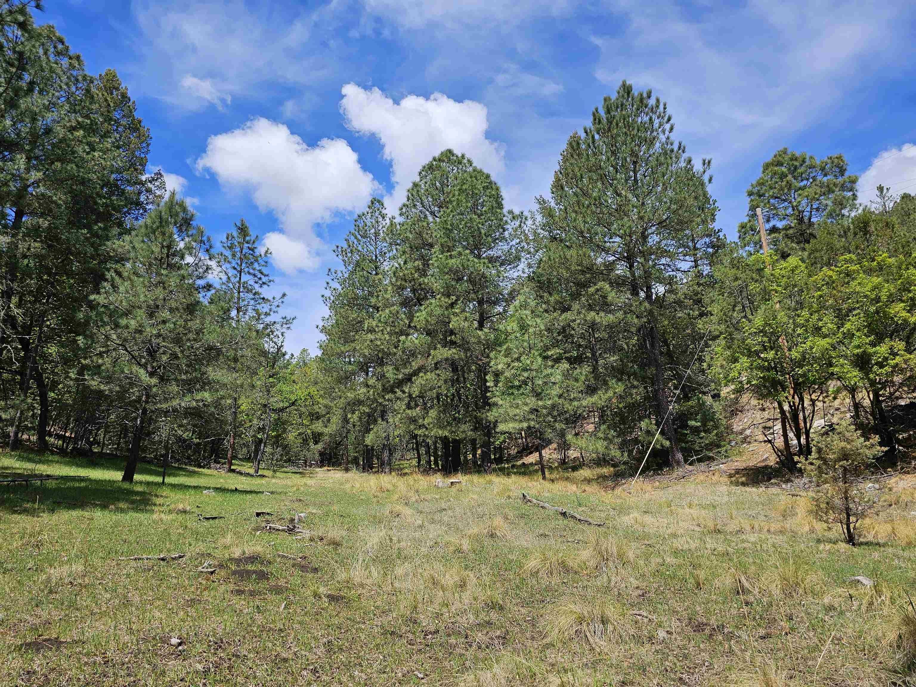 Cloudcroft, Otero County, NM Farms and Ranches for sale Property ID