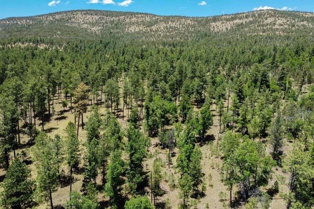 Cloudcroft, Otero County, NM Farms and Ranches, Homesites for sale