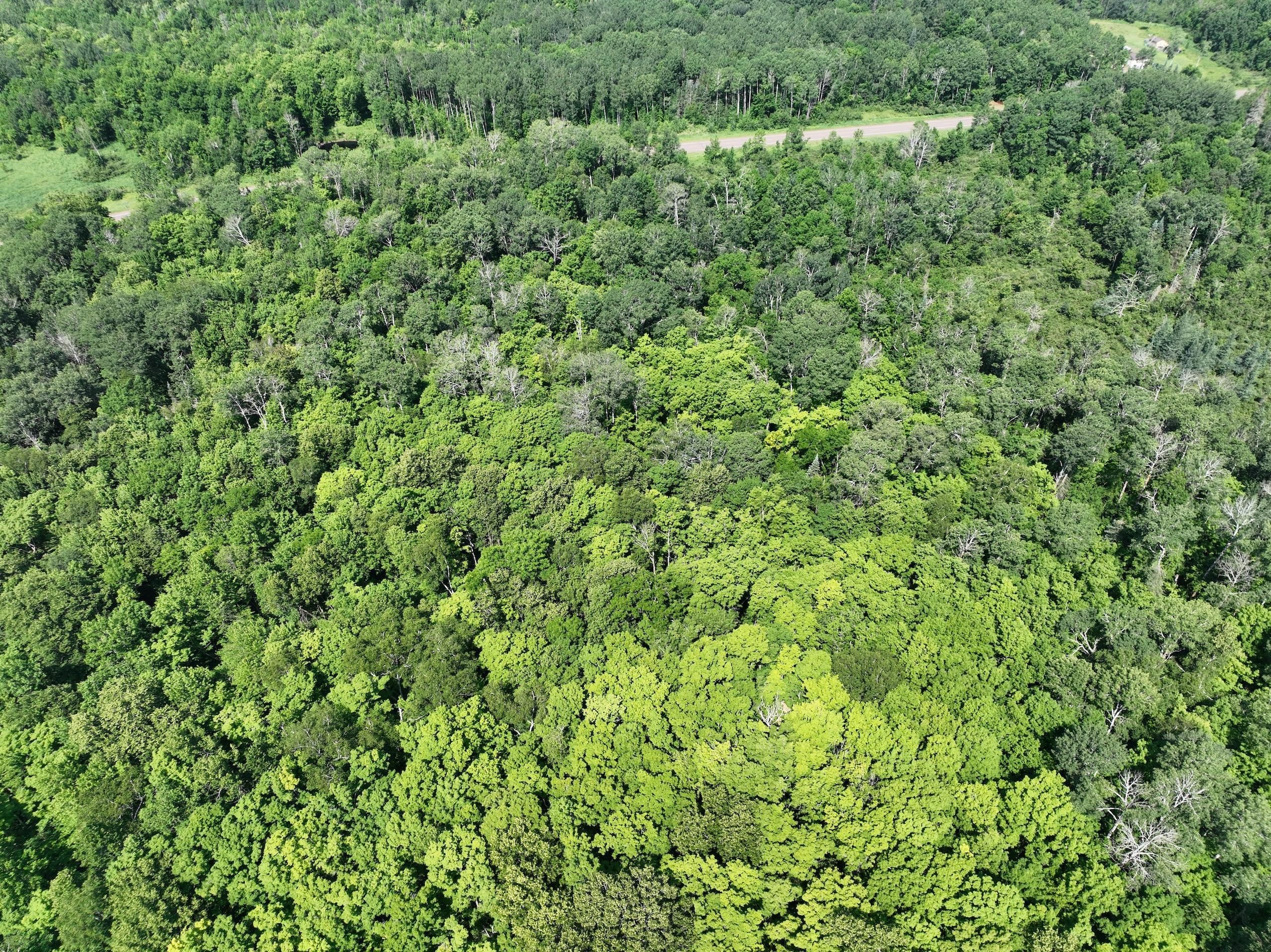 Barnum, Carlton County, MN Recreational Property, Timberland Property