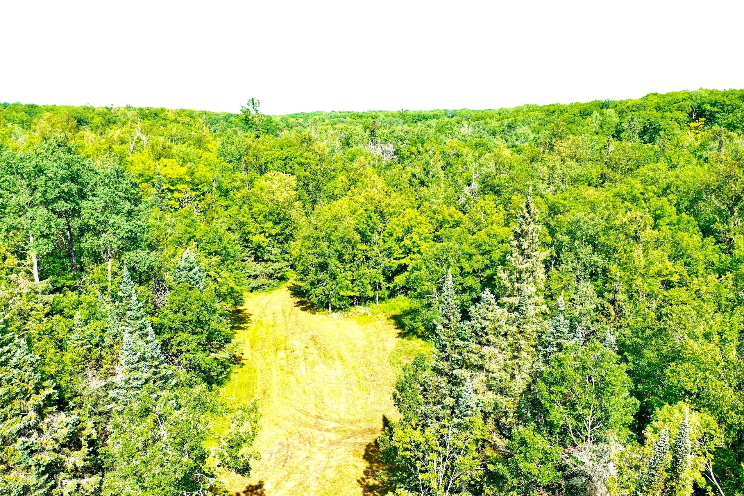 Willow River, Pine County, MN Recreational Property, Timberland Property, Hunting Property for