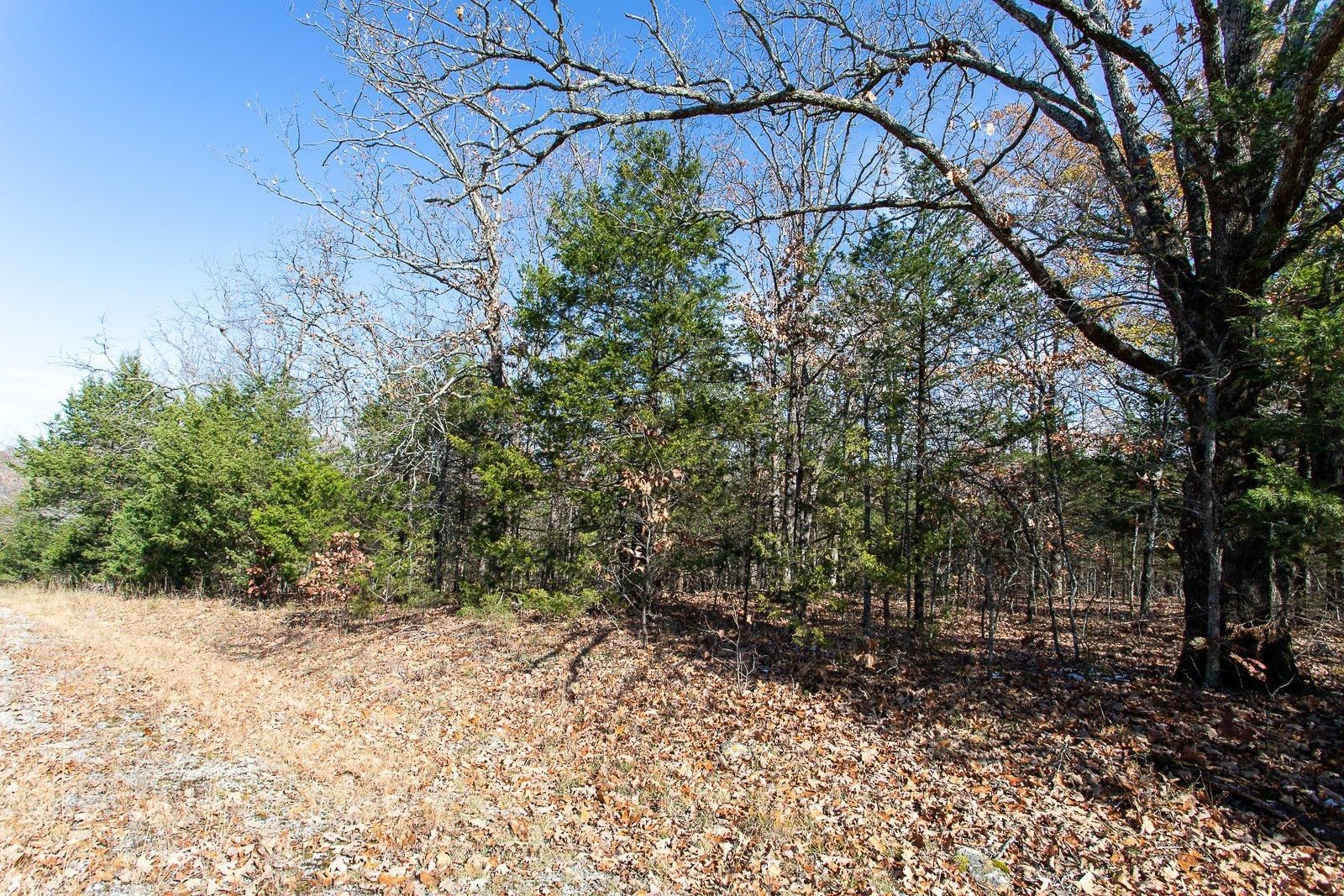 Horseshoe Bend, Izard County, AR Timberland Property, Undeveloped Land