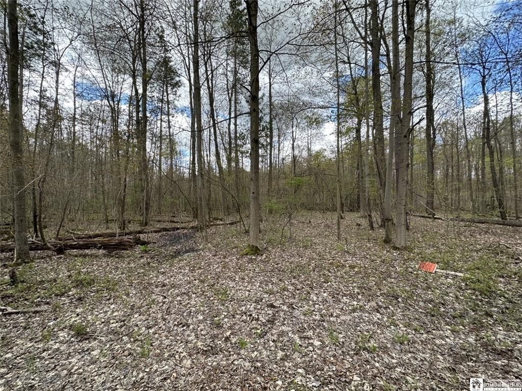 Bemus Point, Chautauqua County, NY Farms and Ranches, Homesites for