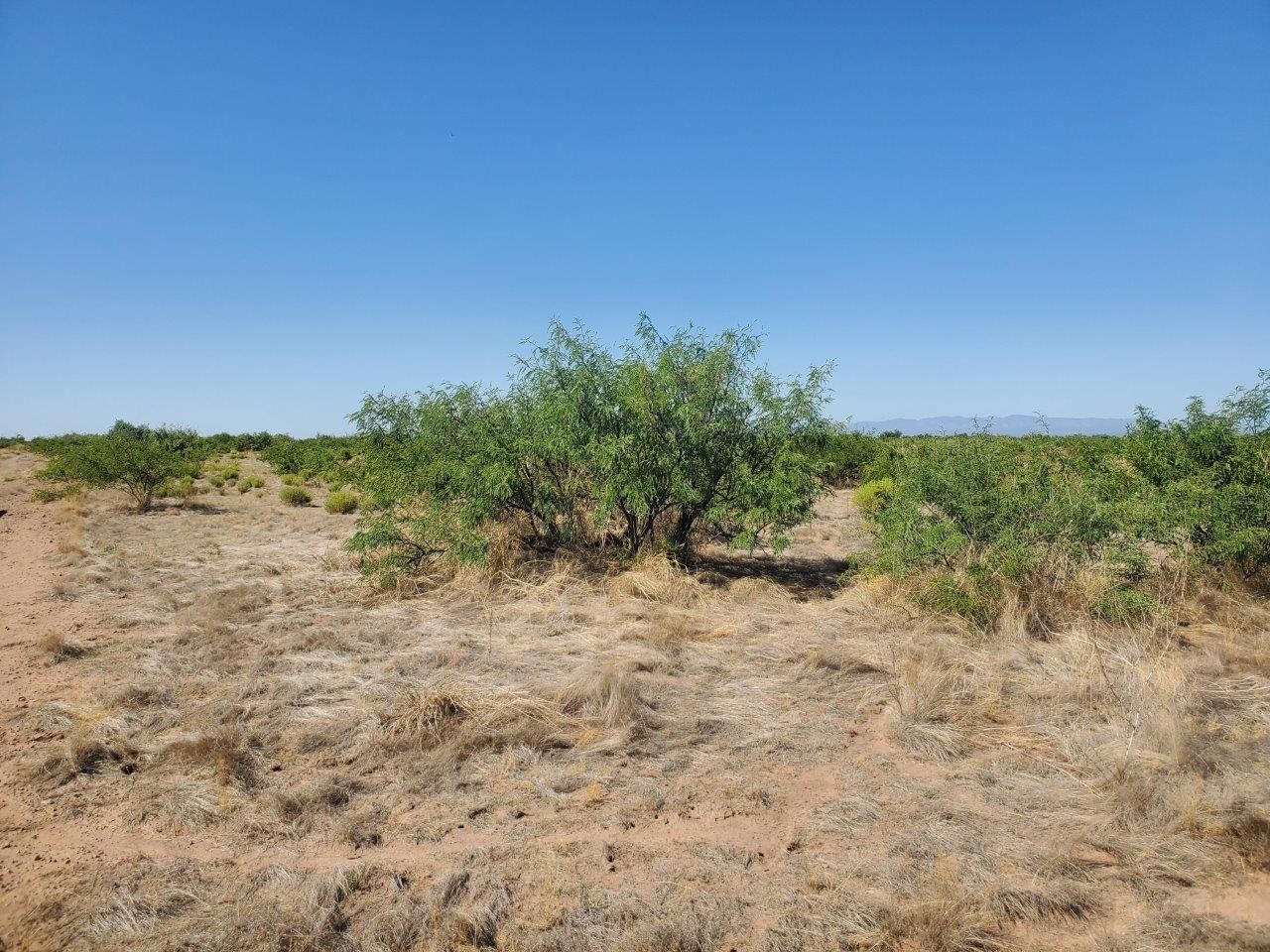 Elfrida, Cochise County, AZ Recreational Property, Undeveloped Land