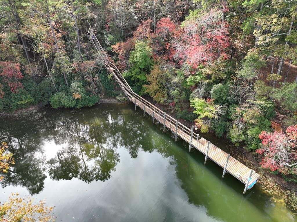 Abbeville, Henry County, AL Lakefront Property, Waterfront Property, Homesites for sale Property