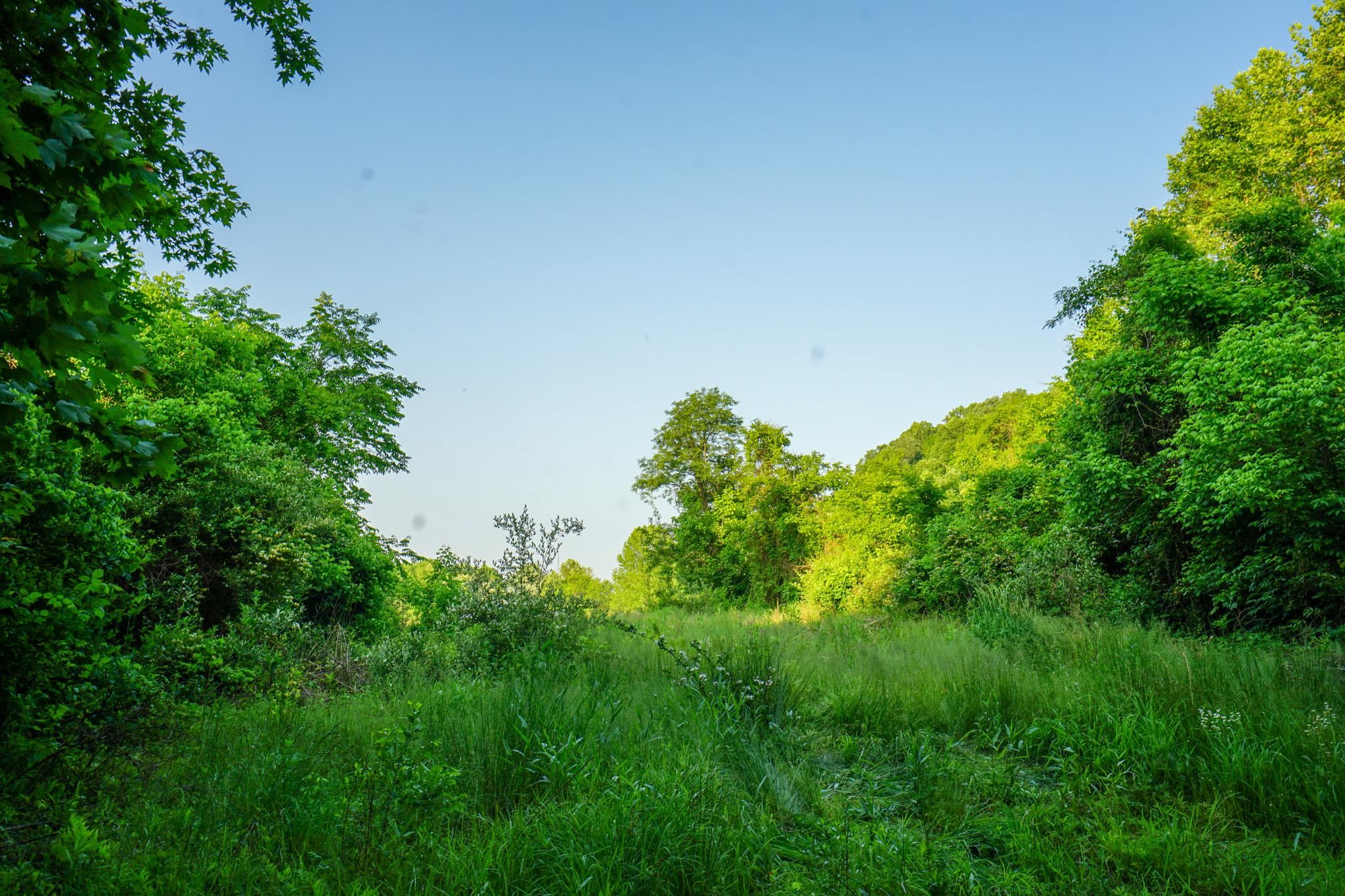 Proctorville, Lawrence County, OH Farms and Ranches for sale Property