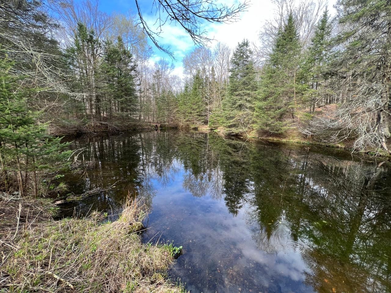 White Lake, Langlade County, WI Lakefront Property, Waterfront Property