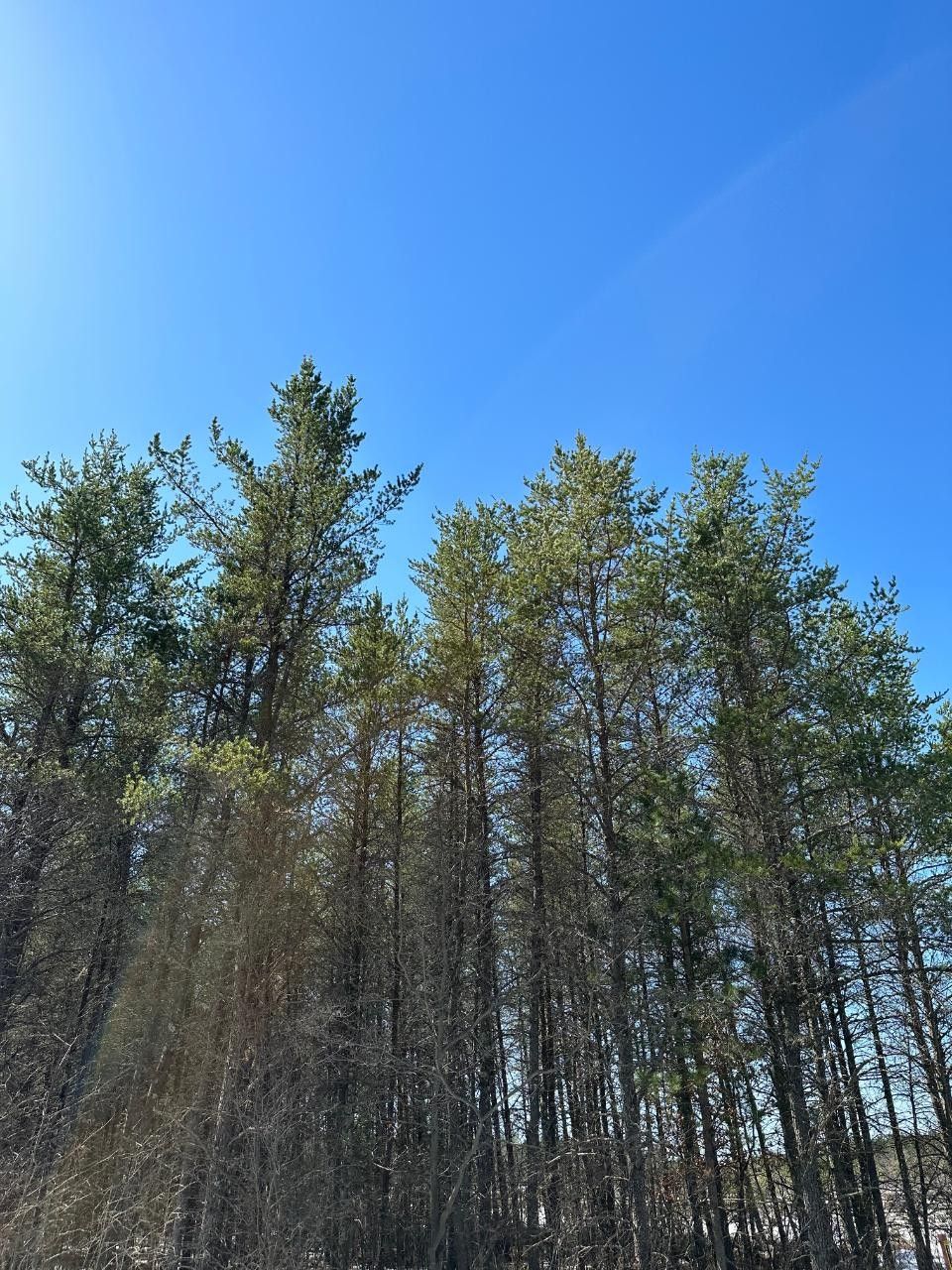 Minocqua, Oneida County, WI Farms and Ranches for sale Property ID