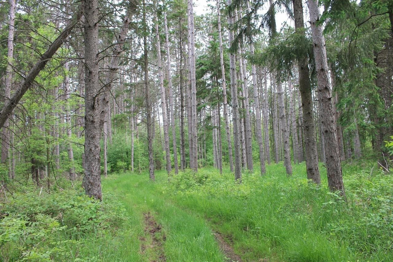 Abrams, Oconto County, WI Undeveloped Land for sale Property ID