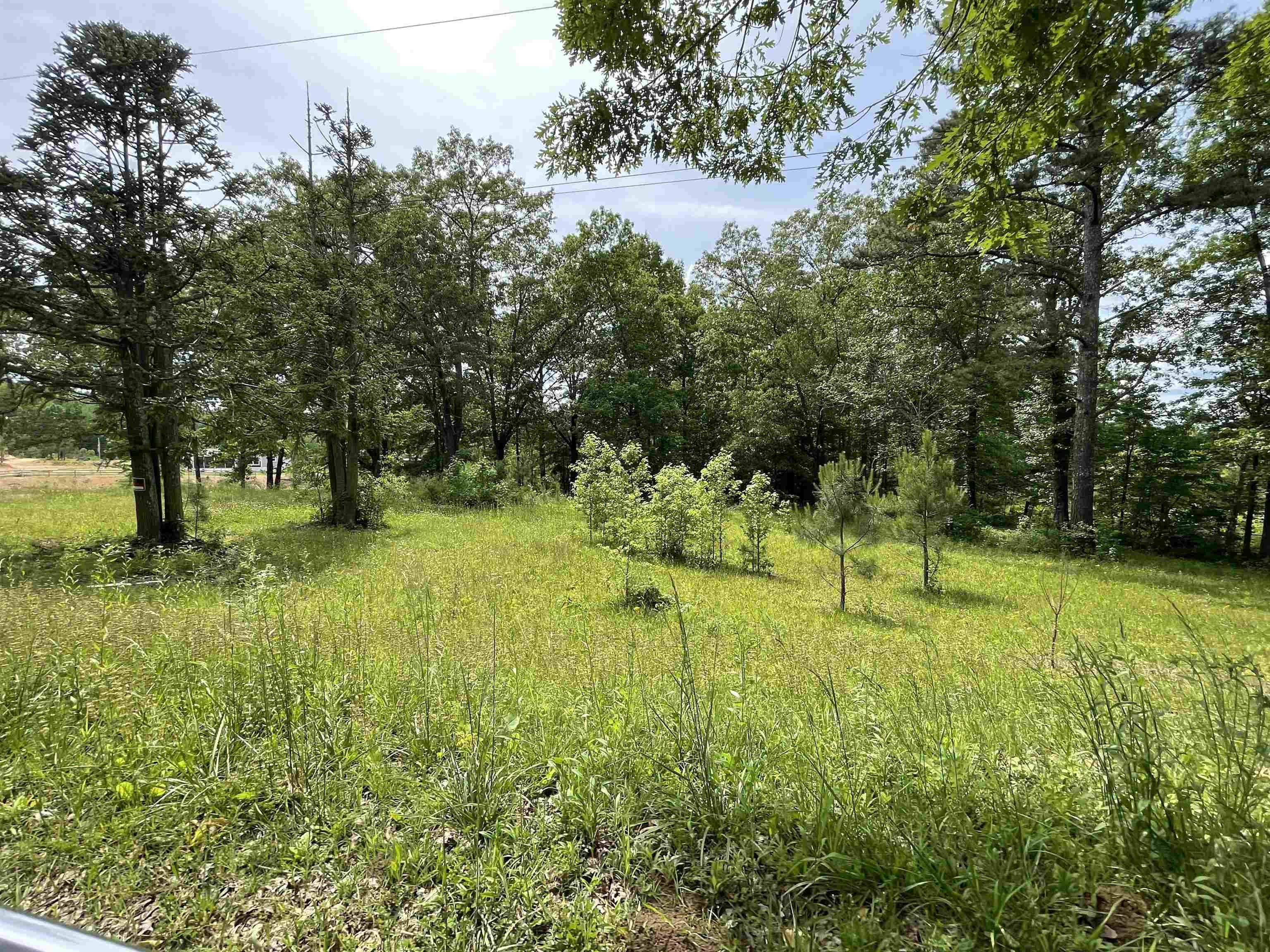 Nauvoo, Walker County, AL Undeveloped Land, Homesites for sale Property