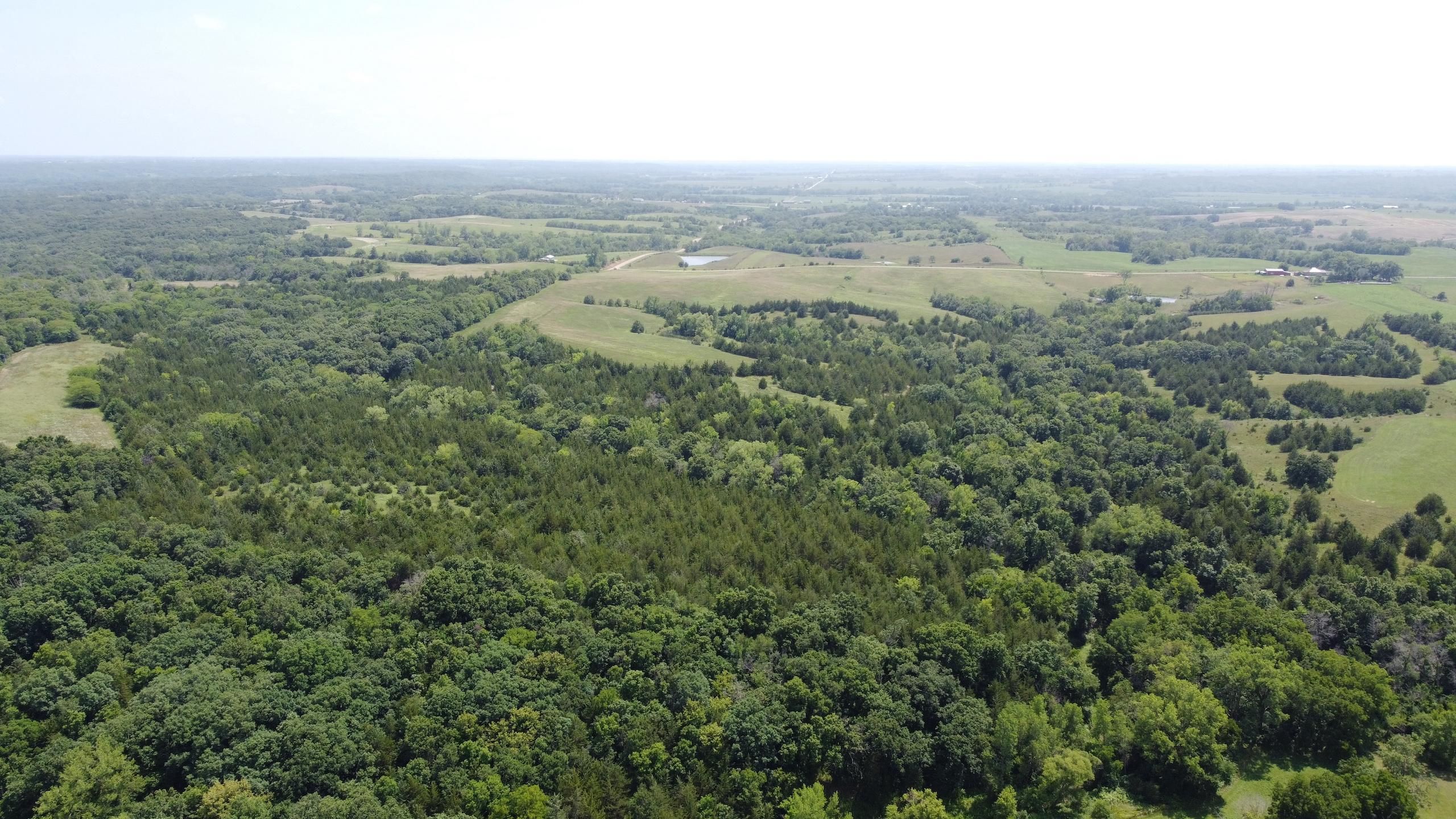 Grand River, Decatur County, IA Recreational Property, Timberland