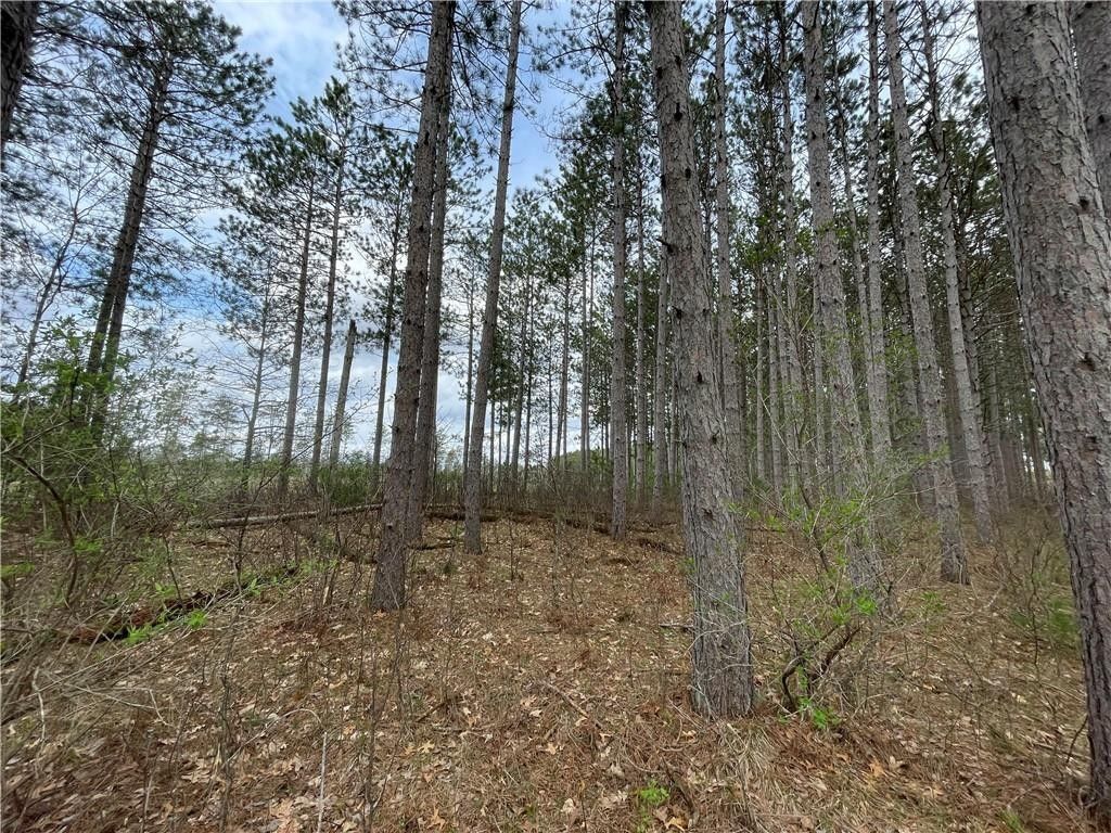 Hayward, Sawyer County, WI Farms and Ranches, Homesites for sale