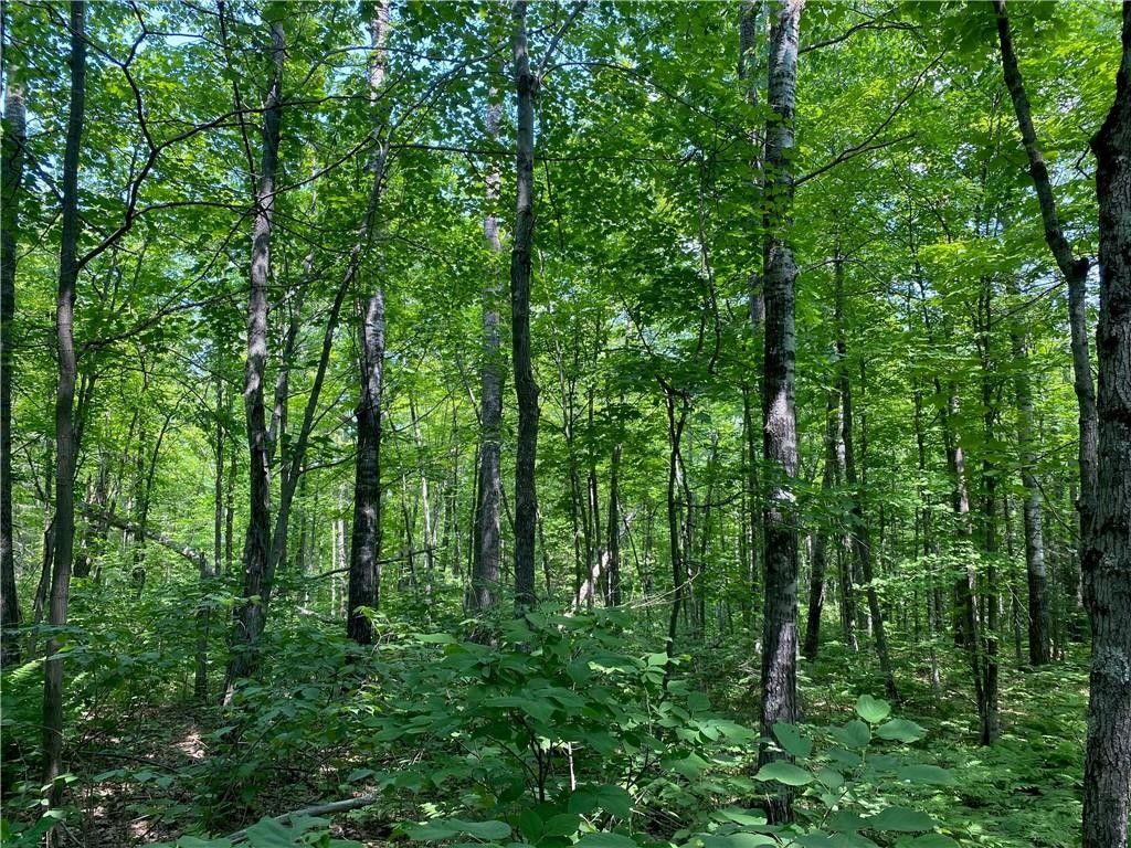 Solon Springs, Douglas County, WI Undeveloped Land for sale Property ID