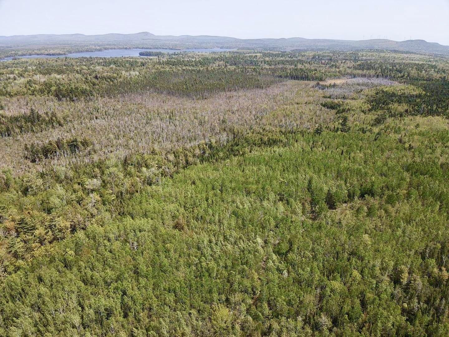 Eddington, Penobscot County, ME Farms and Ranches for sale Property ID