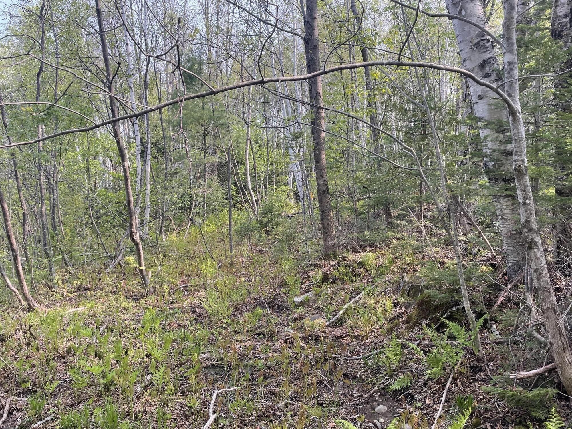 Fayette, Kennebec County, ME Farms and Ranches, Lakefront Property