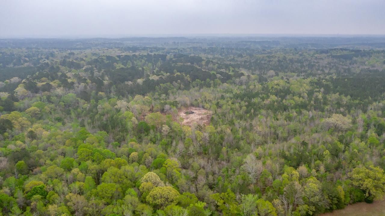 Ruston, Lincoln Parish, LA Recreational Property, Timberland Property