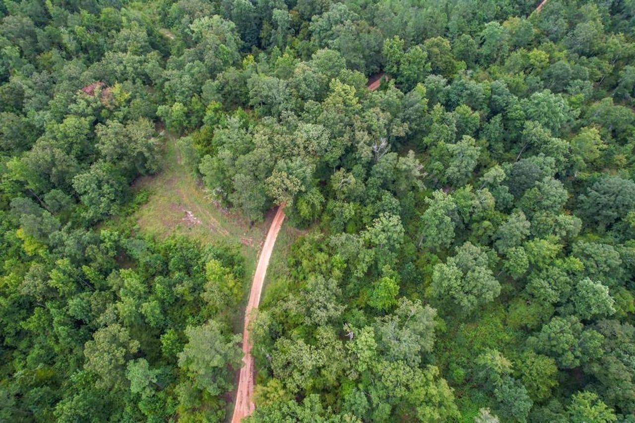 Utica, Hinds County, MS Recreational Property, Timberland Property, Hunting Property for sale