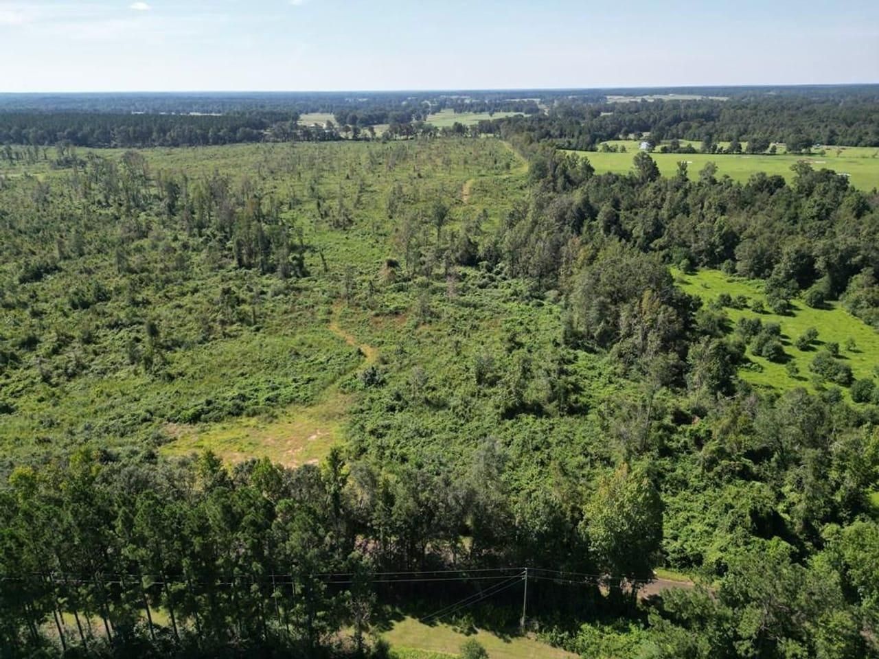 Osyka, Pike County, MS Recreational Property, Hunting Property for sale