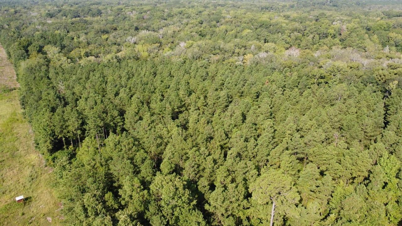 Lucky, Bienville Parish, LA Recreational Property, Timberland Property