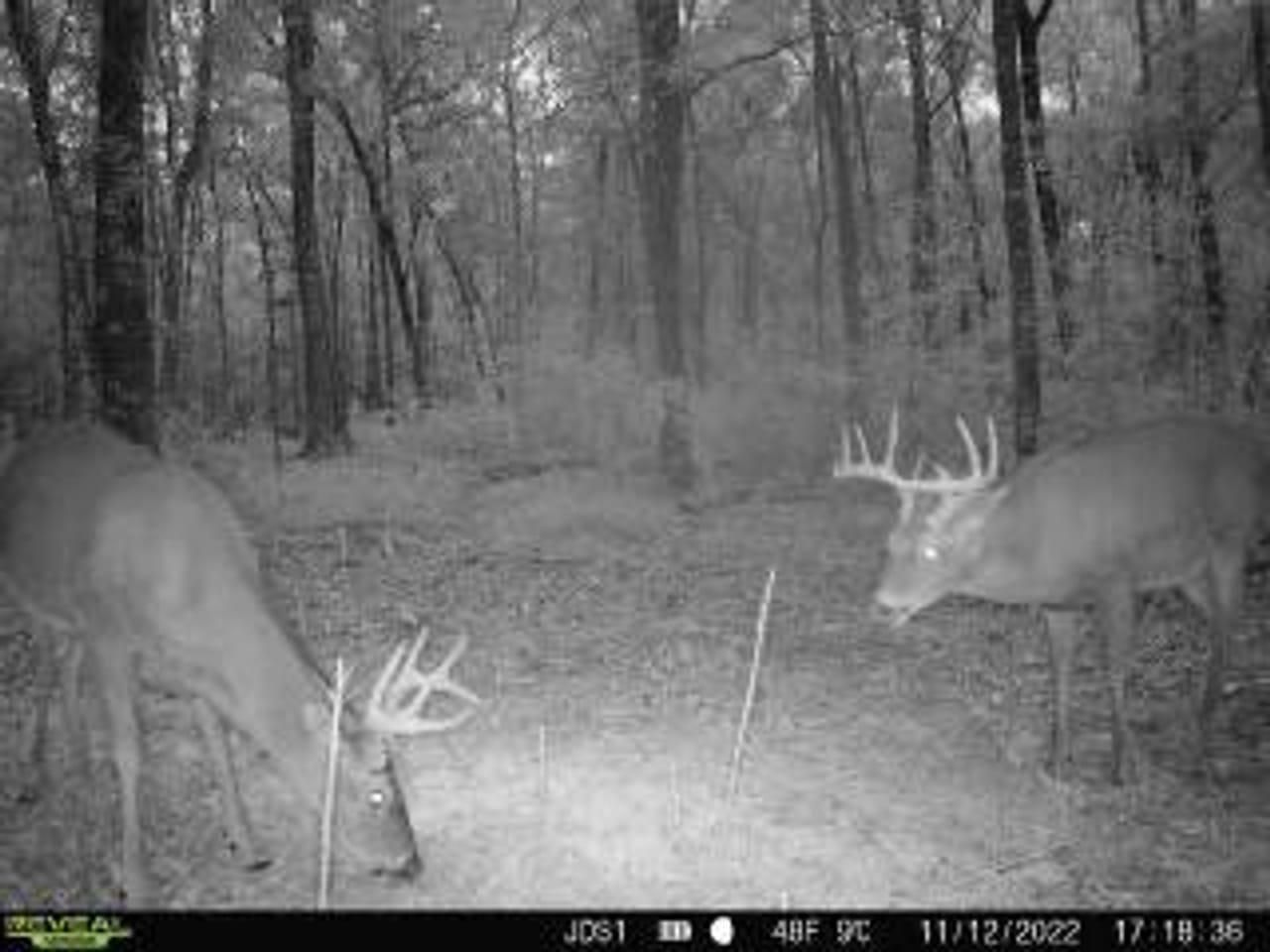 Zachary, East Baton Rouge Parish, LA Recreational Property, Undeveloped