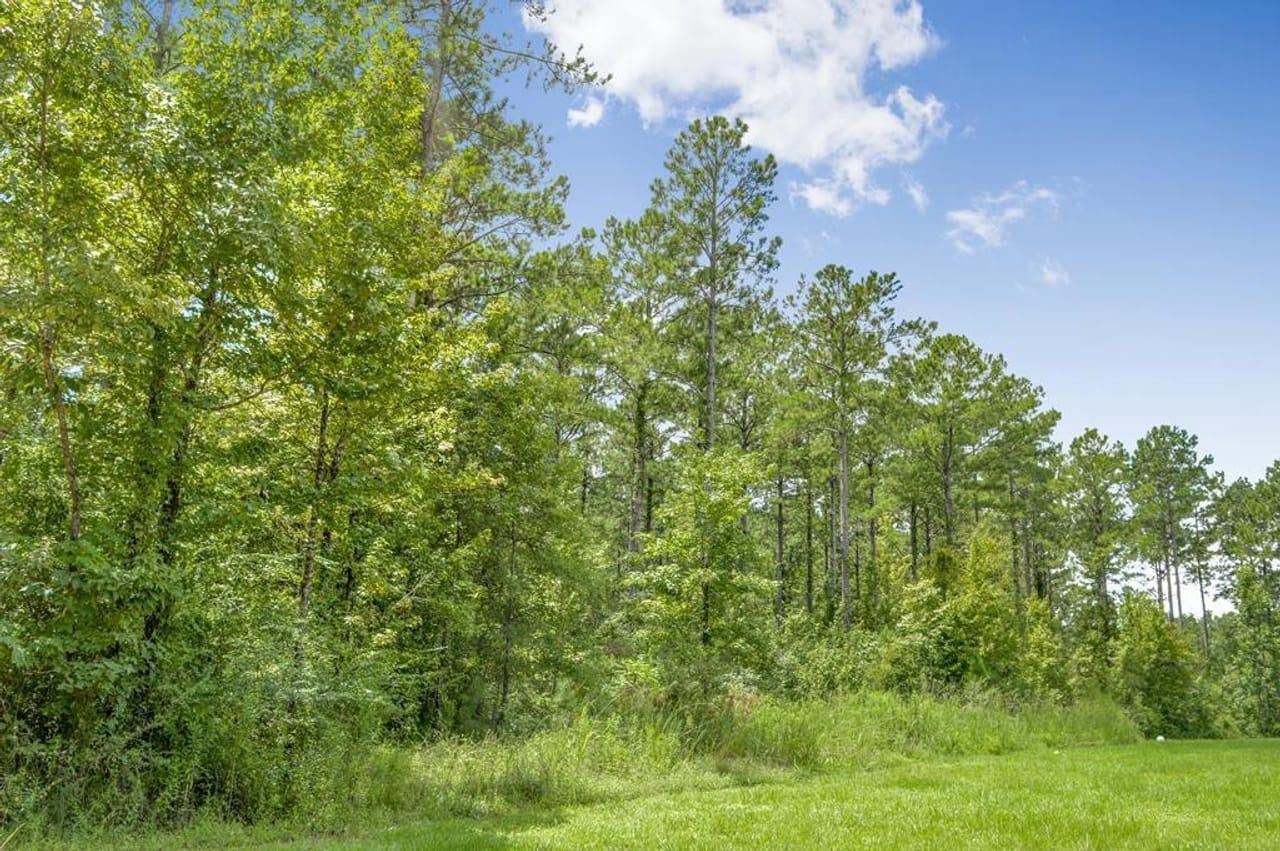 Brookhaven, Lincoln County, MS Recreational Property, Undeveloped Land