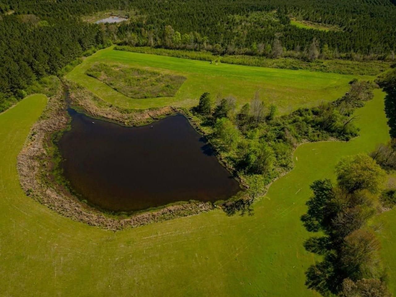 Union Church, Jefferson County, MS Recreational Property, Timberland