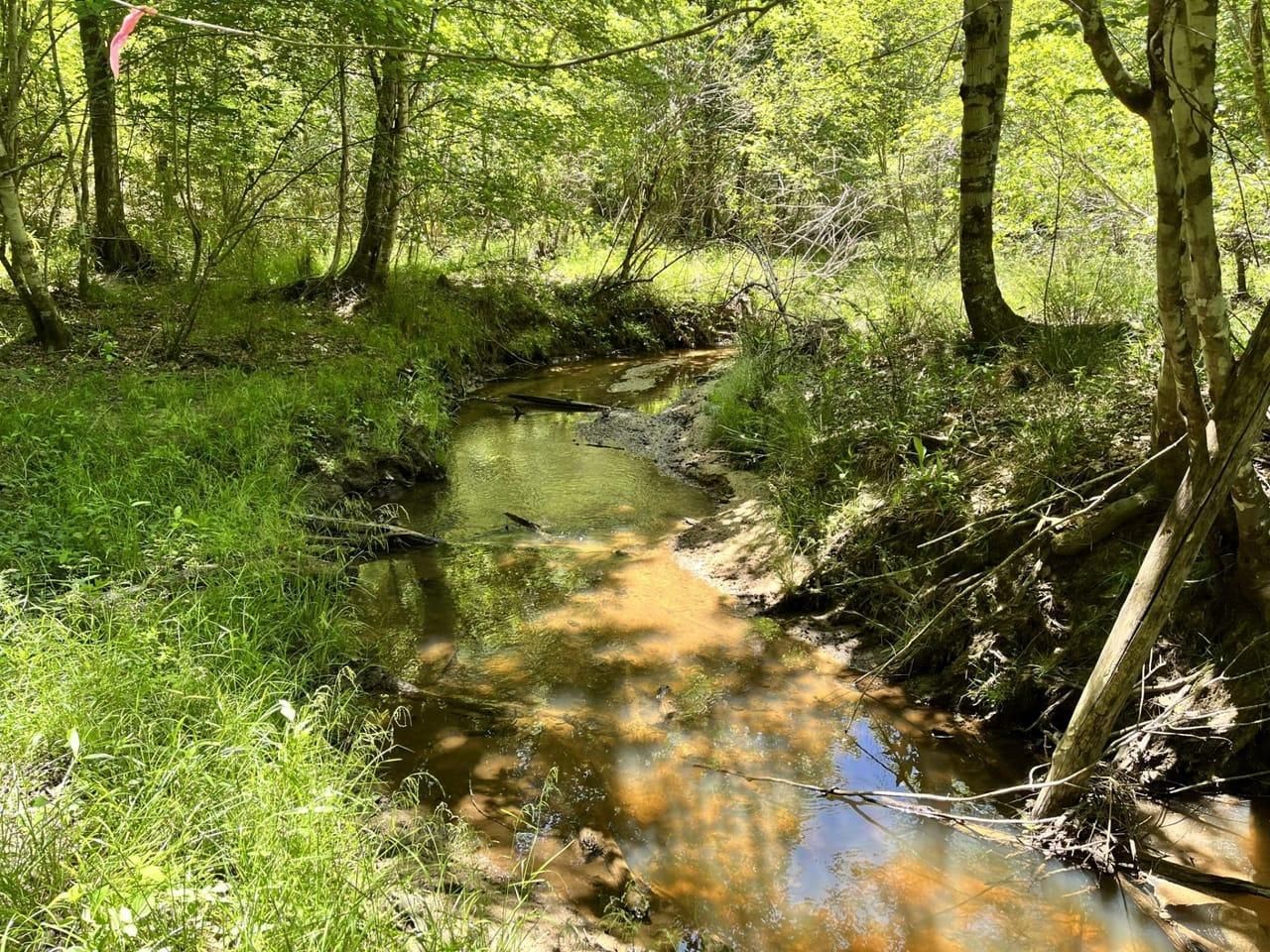 Wrightsville, Johnson County, GA Recreational Property, Timberland Property, Hunting Property