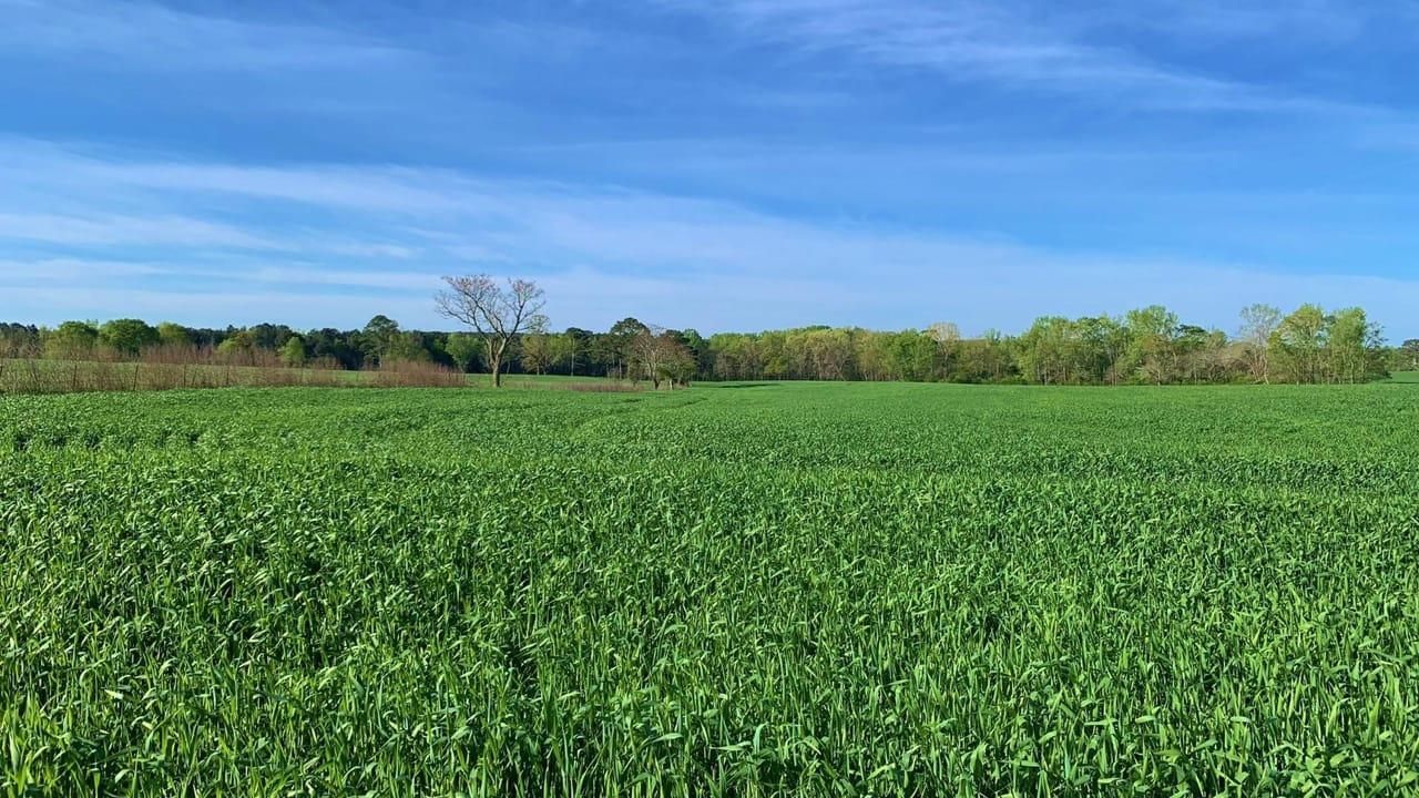 Madison, County, GA Farms and Ranches, Hunting Property for sale