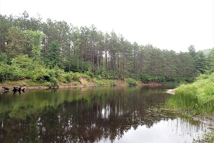 Pitcairn, Saint Lawrence County, NY Undeveloped Land, Hunting Property