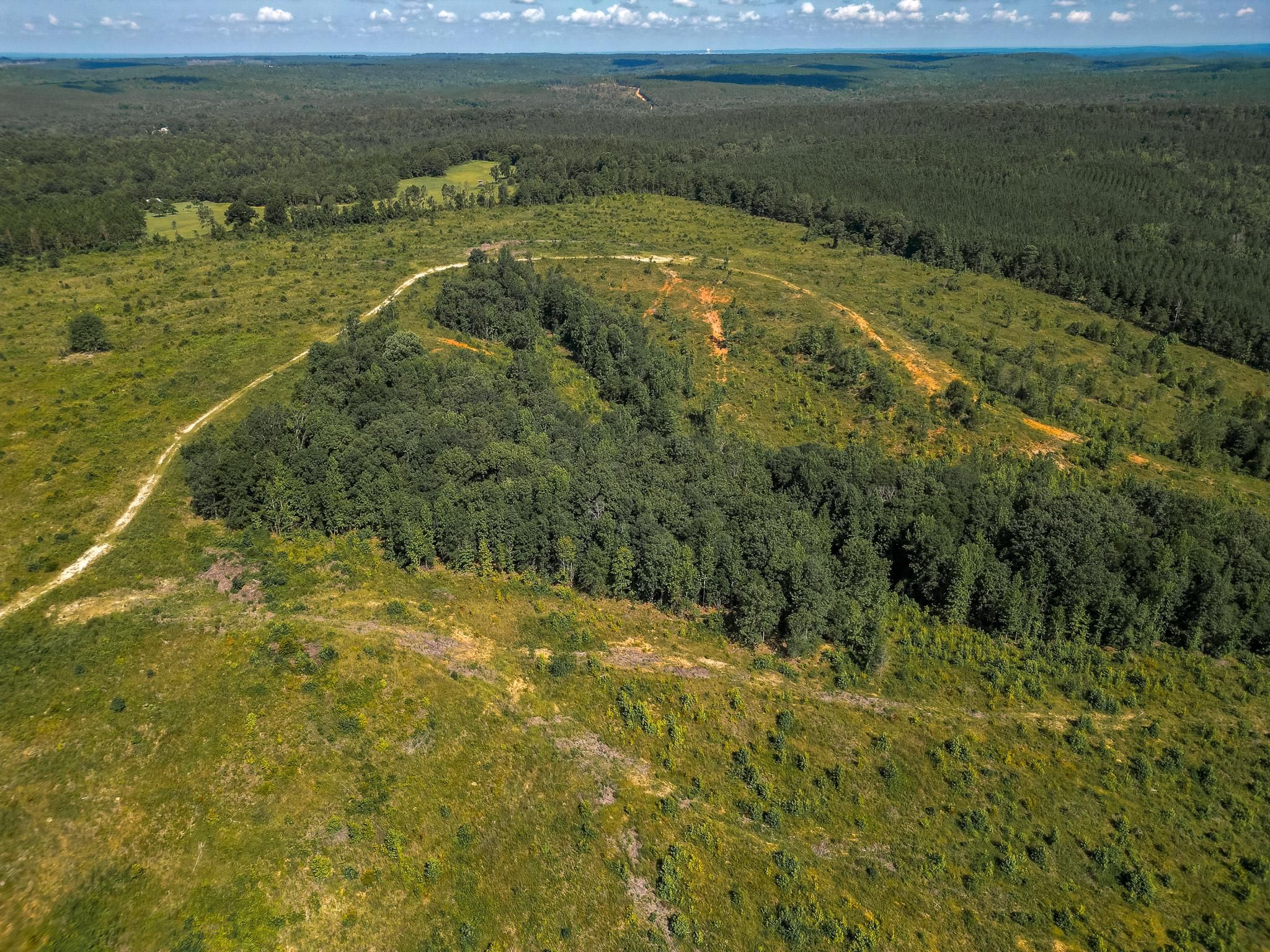 Lumpkin, Stewart County, GA Recreational Property, Timberland Property