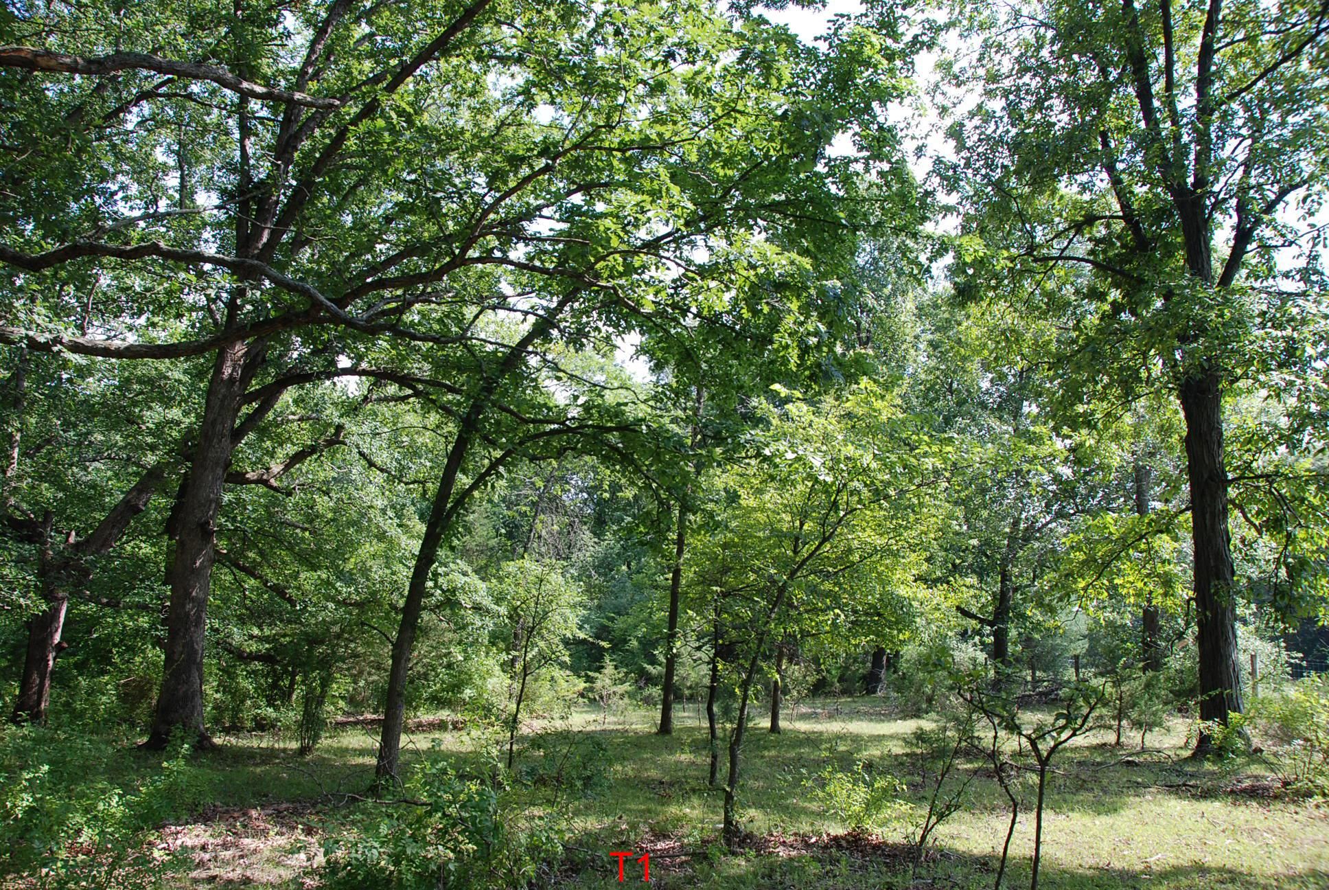 Danville, Vermilion County, IL Recreational Property, Hunting Property