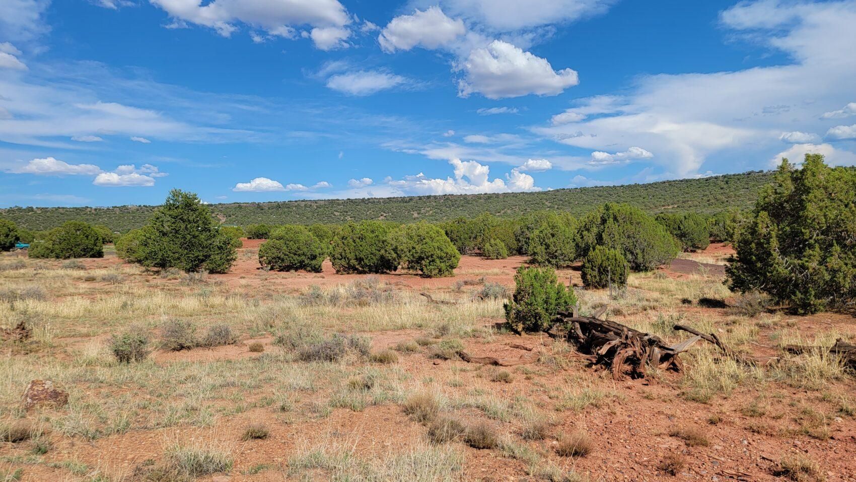 Concho, Apache County, AZ Recreational Property, Homesites for sale