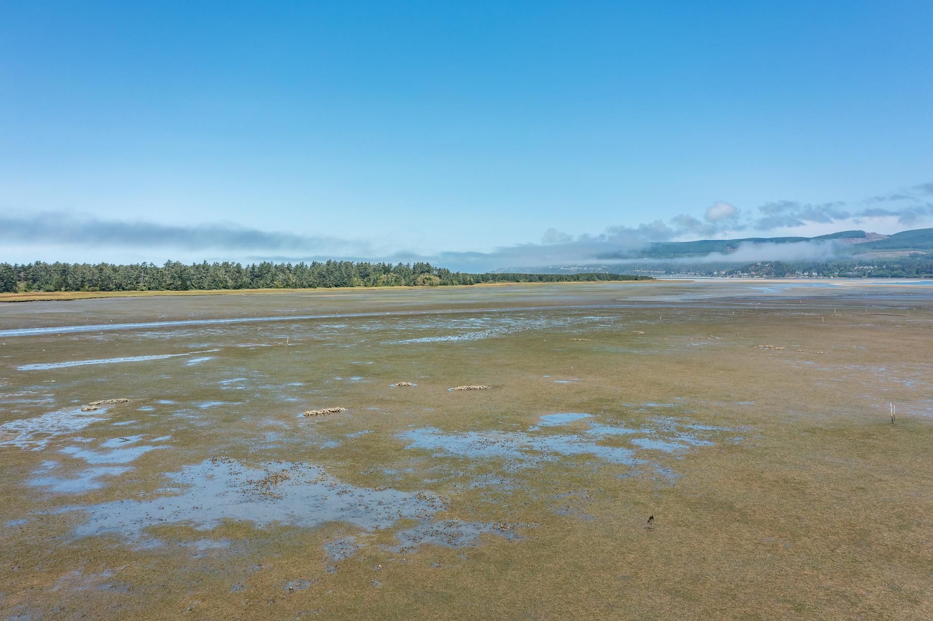 Netarts, Tillamook County, OR Farms and Ranches, Undeveloped Land