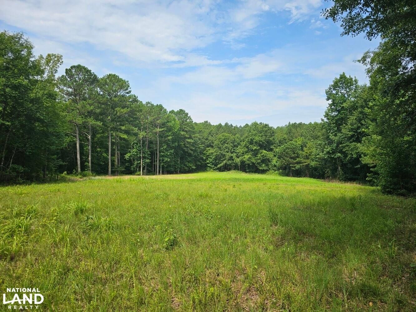 Brilliant, Marion County, AL Recreational Property, Timberland Property