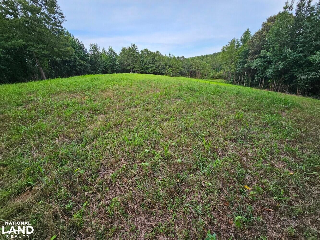 Brilliant, Marion County, AL Recreational Property, Timberland Property, Hunting Property for