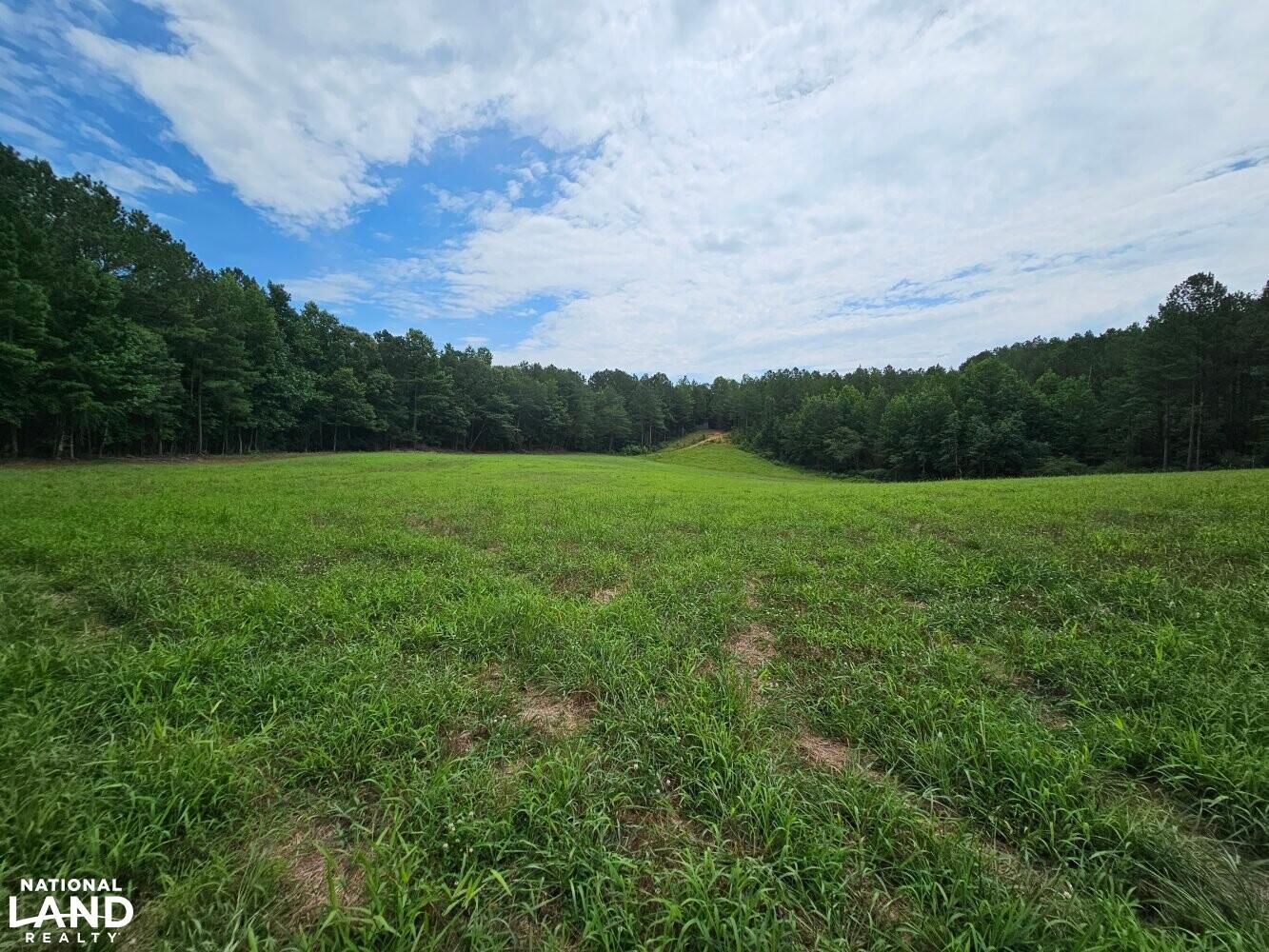 Brilliant, Marion County, AL Recreational Property, Timberland Property
