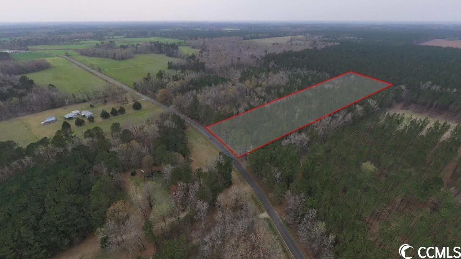 Greeleyville, Williamsburg County, SC Farms and Ranches for sale Property ID 417047097 LandWatch